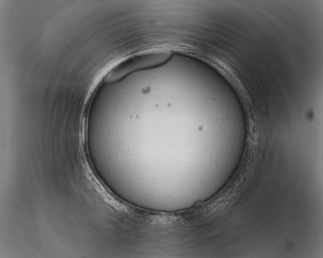 X0000116110804200912071321