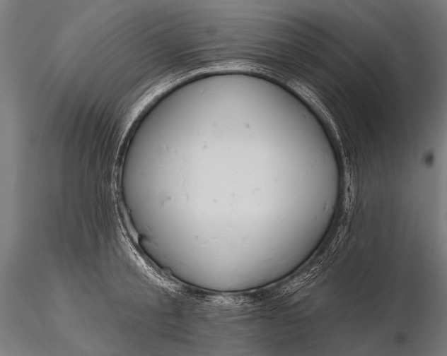 X0000116110805200912071321