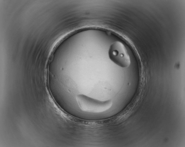 X0000116110807200912071321