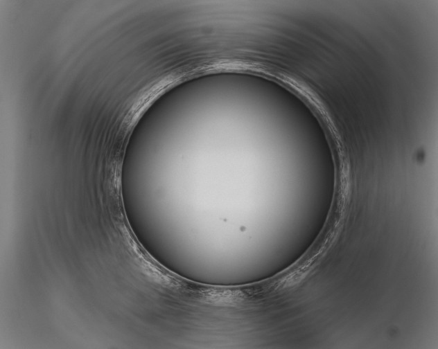 X0000116110809200912071321