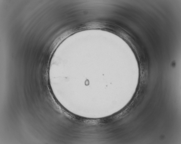 X0000116110810200912071321