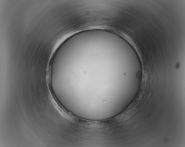 X0000116110811200912071321