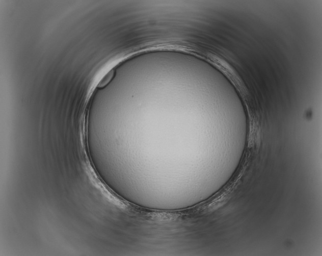 X0000116110812200912071321