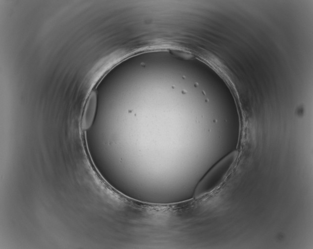 X0000116110813200912071321