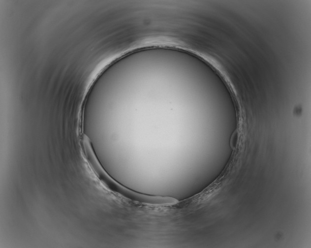 X0000116110815200912071321