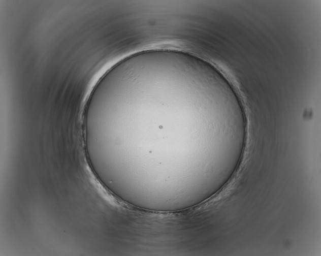 X0000116110816200912071321