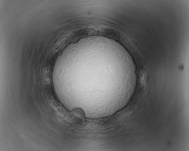 X0000116110819200912071320