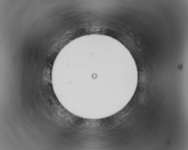 X0000116110820200912071320