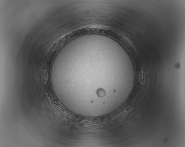 X0000116110821200912071320