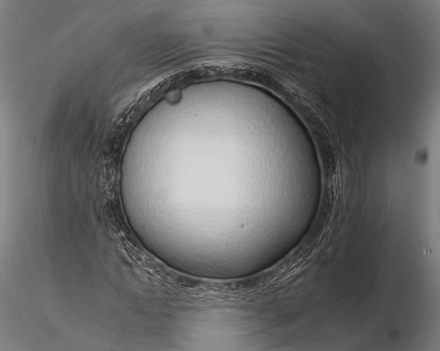 X0000116110822200912071320