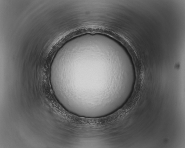 X0000116110823200912071320