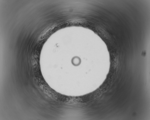 X0000116110824200912071320