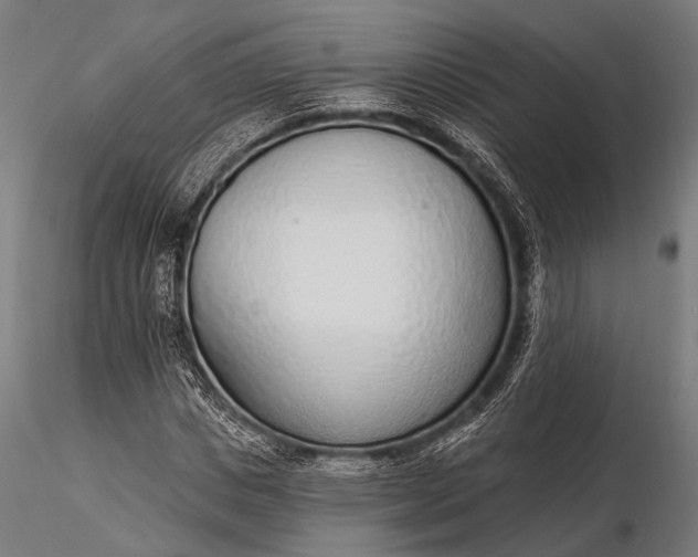 X0000116110825200912071320