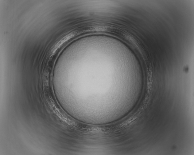 X0000116110827200912071320