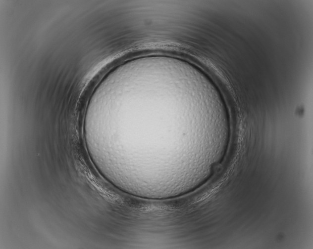 X0000116110830200912071320