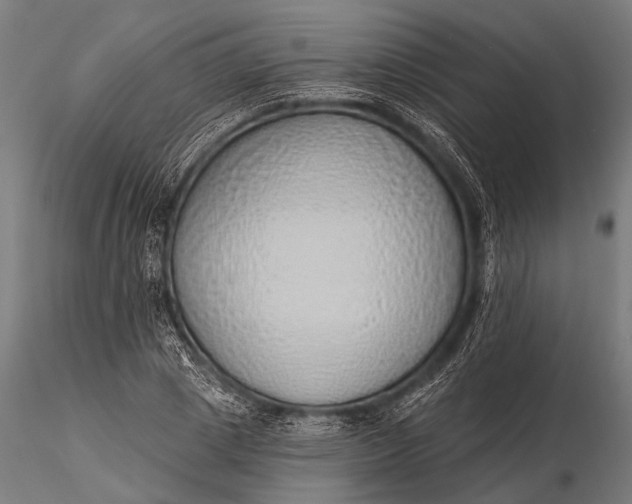 X0000116110833200912071320