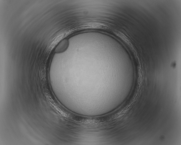 X0000116110834200912071320