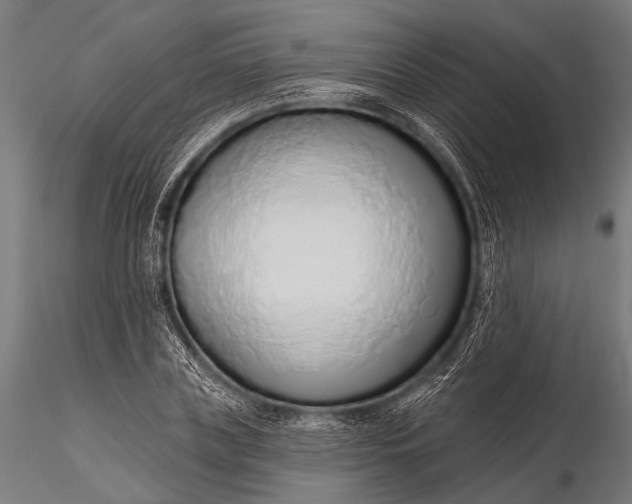 X0000116110835200912071320