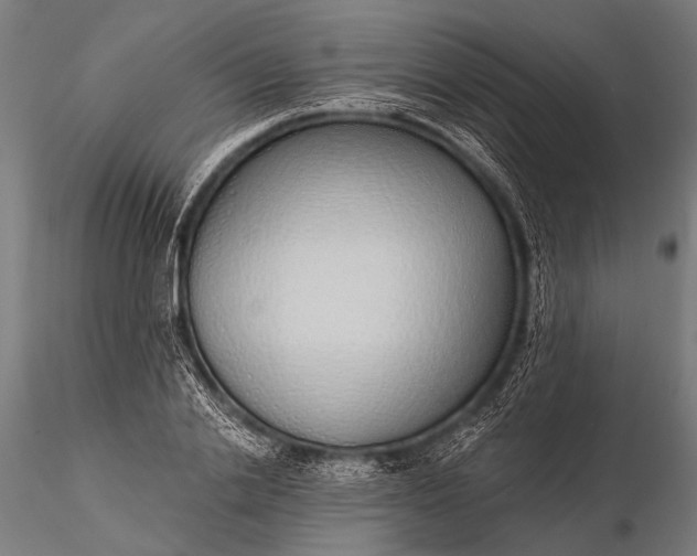 X0000116110838200912071320