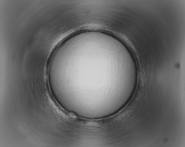 X0000116110839200912071321