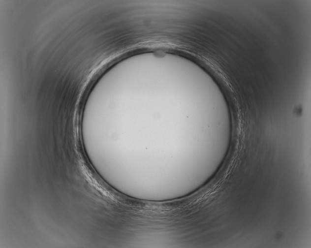 X0000116110840200912071321