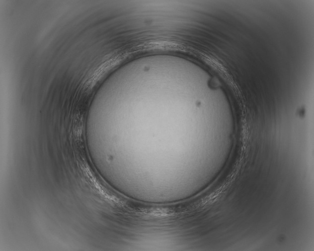 X0000116110841200912071321