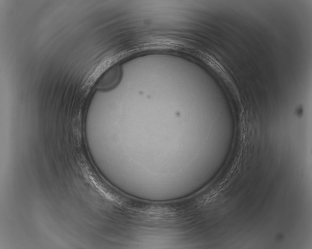 X0000116110842200912071321