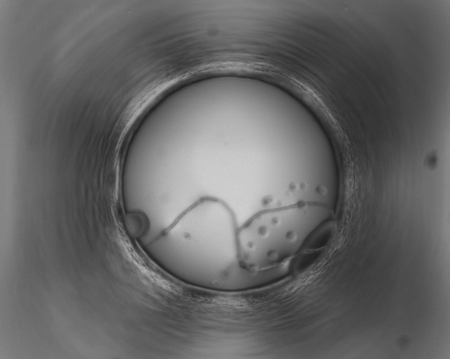 X0000116110844200912071321