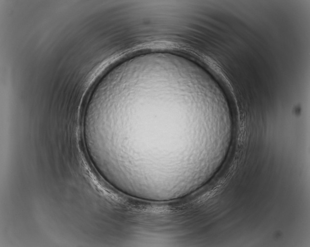 X0000116110845200912071321