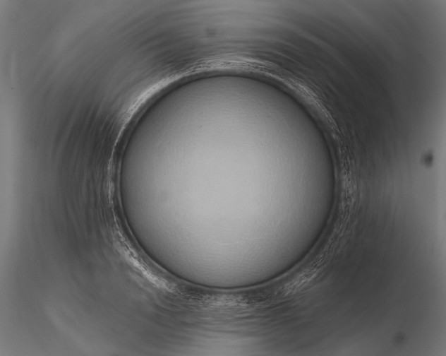 X0000116110846200912071321