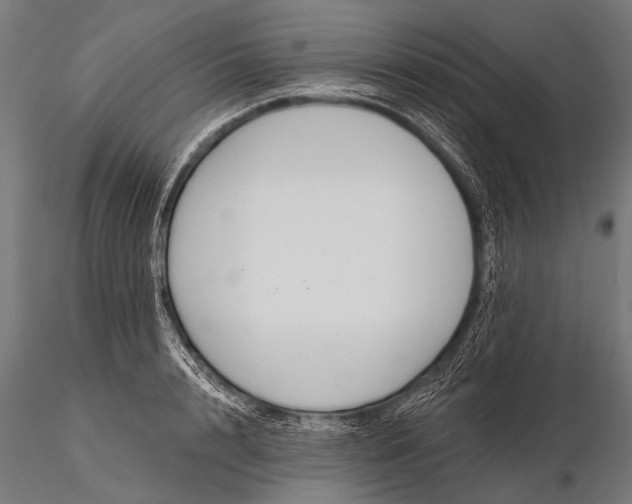 X0000116110848200912071321