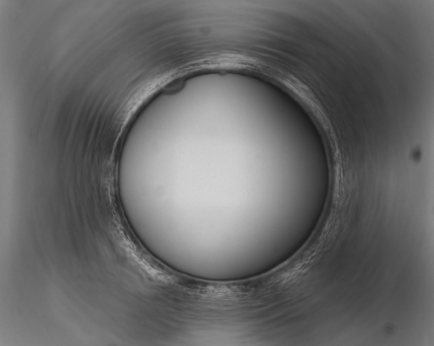 X0000116110850200912071321