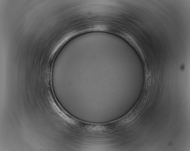 X0000116110851200912071321