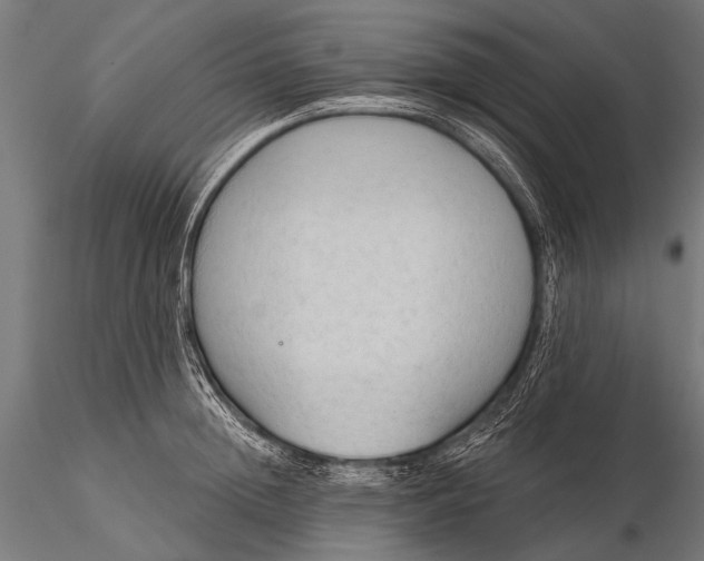 X0000116110852200912071321