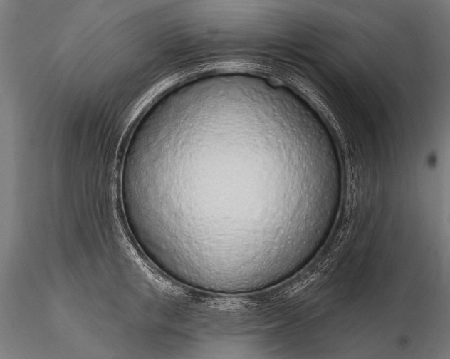 X0000116110853200912071321