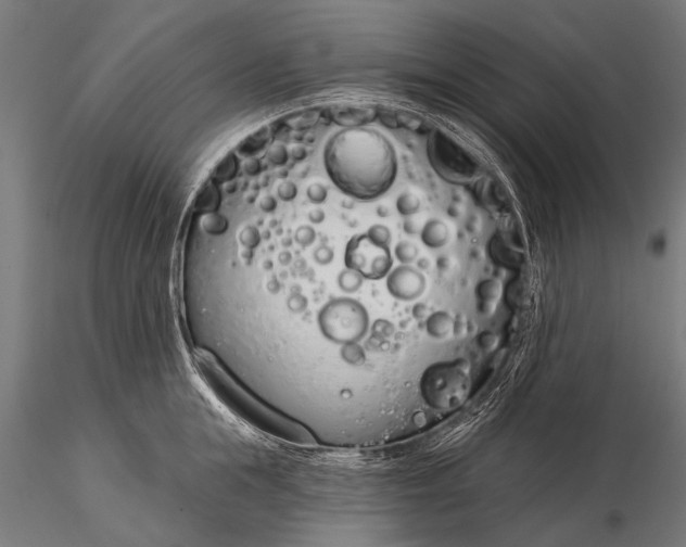 X0000116110855200912071321