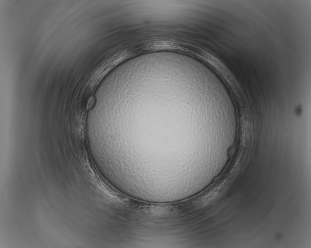 X0000116110857200912071321