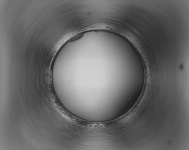 X0000116110858200912071321