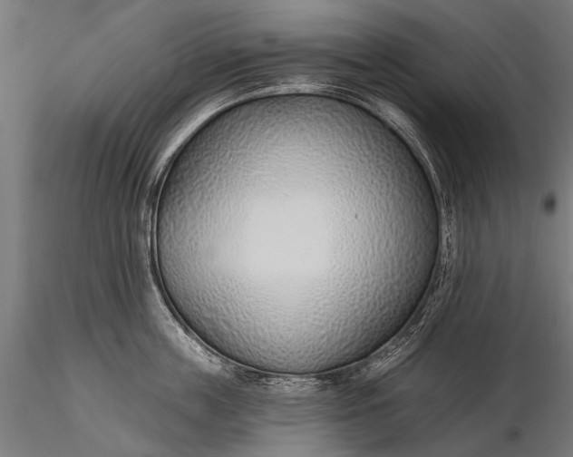 X0000116110859200912071321