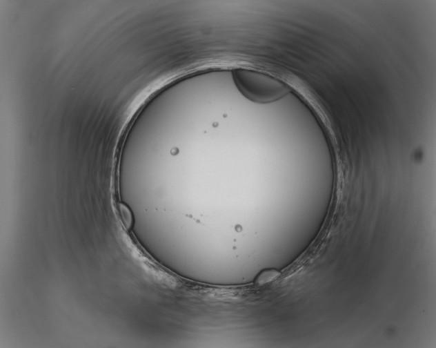 X0000116110861200912071321