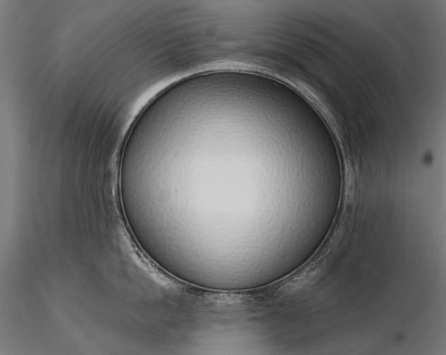 X0000116110862200912071321