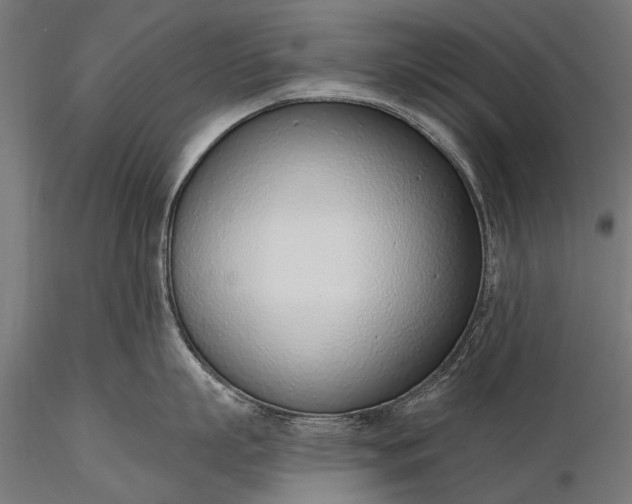 X0000116110863200912071321