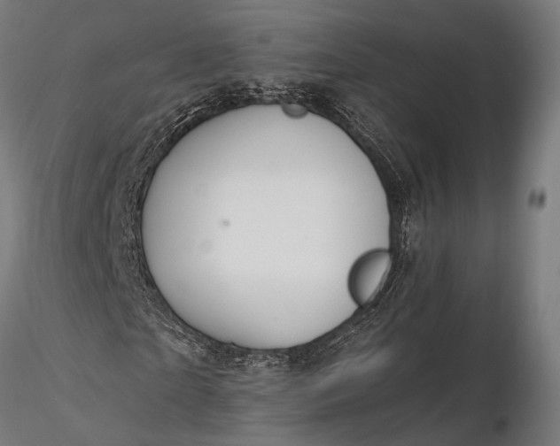 X0000116110865200912071320