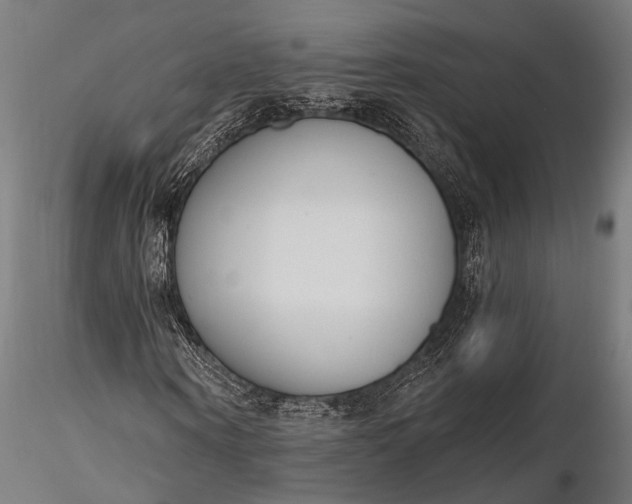 X0000116110866200912071320