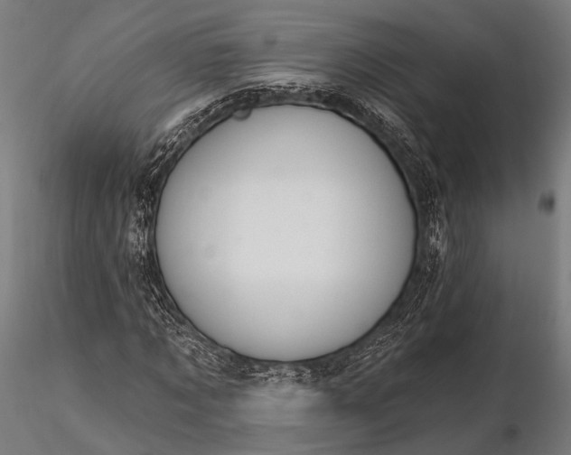 X0000116110869200912071320