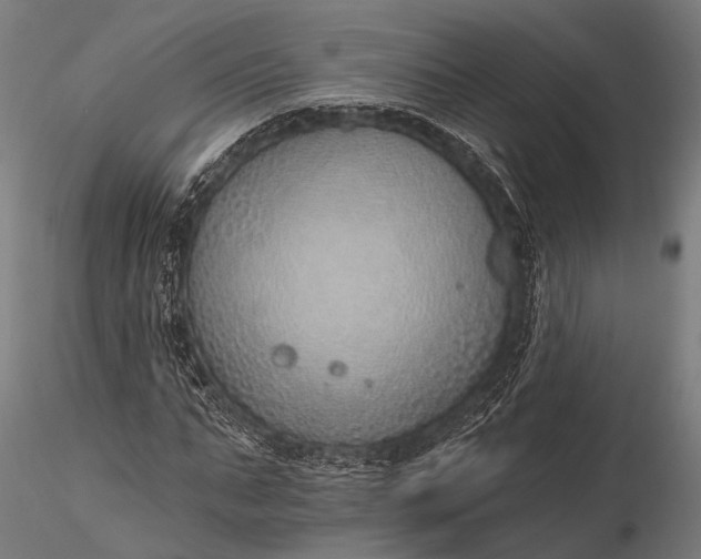 X0000116110871200912071320