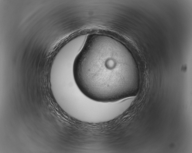 X0000116110872200912071320