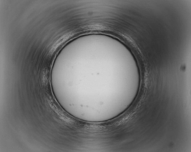 X0000116110873200912071320