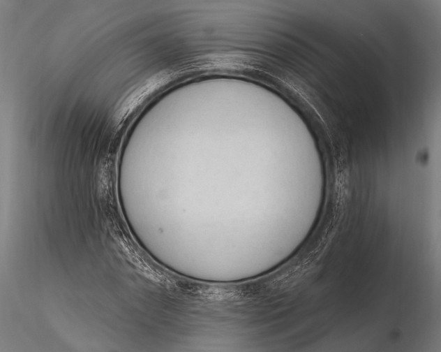 X0000116110874200912071320