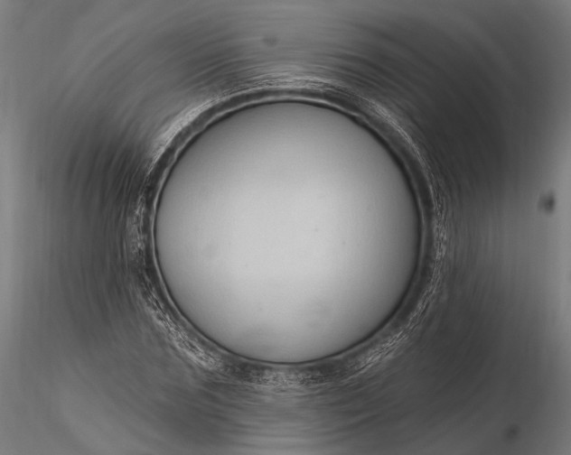 X0000116110875200912071320